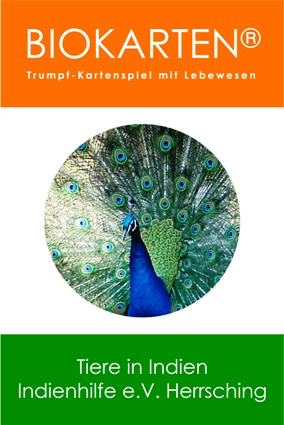 Biokarten - Trumpf-Kartenspiel mit Lebewesen